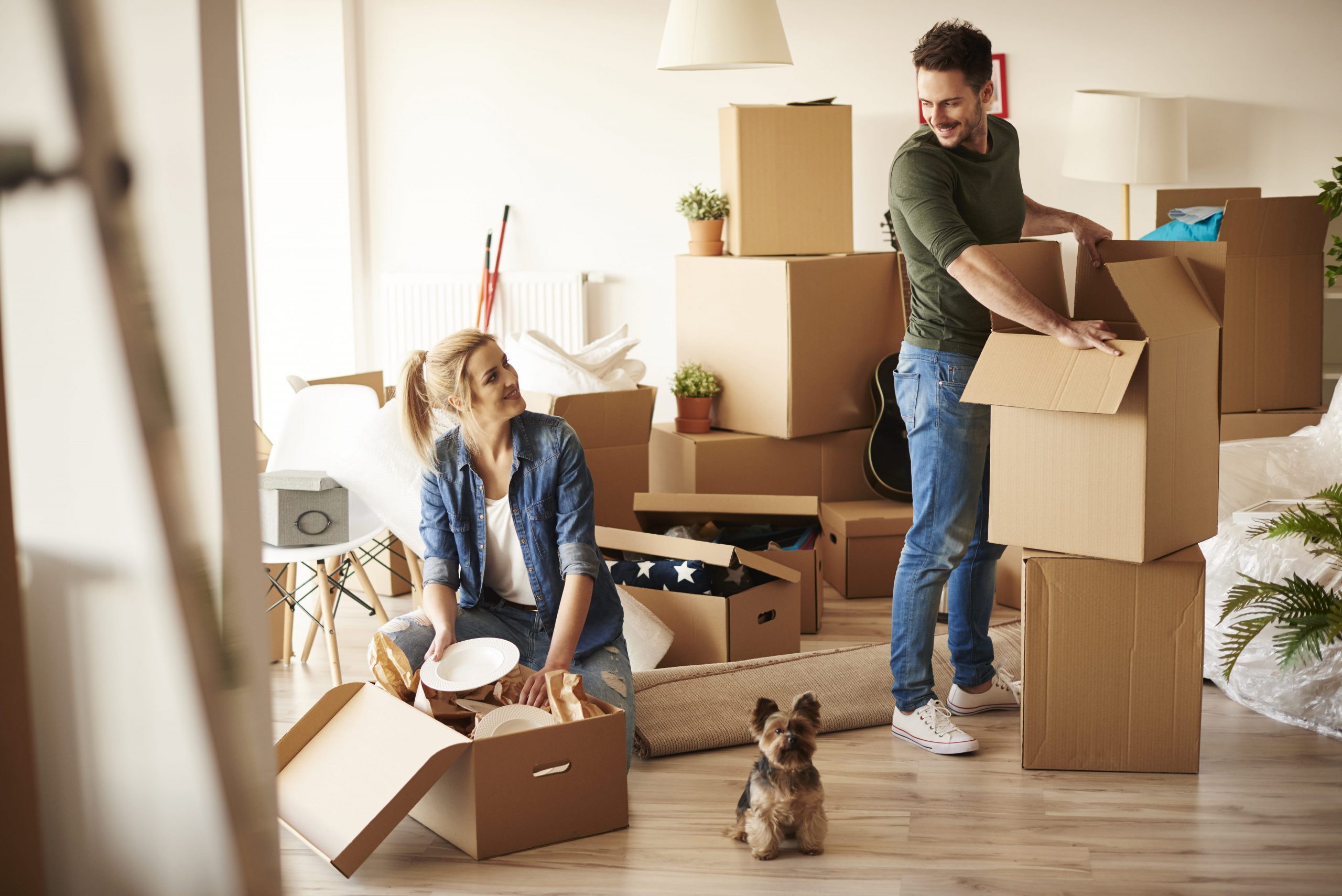 what-does-moving-home-mean